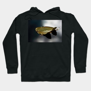 Lonely Lily Hoodie